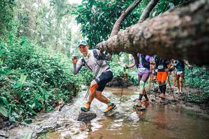 BIB: 
                            <button type="button" onclick="openModal(25374693)" class="btn btn-primary btn-sm float-right btn-popup" data-toggle="modal" data-target=".modal-high-quality">
                        <i class="fas fa-shopping-cart"></i> Add to Cart
                    </button>
                                            <button type="button" onclick="isThisMe(25374693, true)" class="btn btn-success btn-sm float-right btn-popup btn-isme hidden" data-toggle="tooltip" data-placement="bottom" title="นี่คือรูปของคุณใช่ไหม คลิกที่นี่เพื่อเอาเข้าอัลบั้ม">
                        <i class="fas fa-plus"></i> Add to album
                    </button>
                    <button type="button" onclick="isThisMe(25374693, false)" class="btn btn-warning btn-sm float-right btn-popup btn-isnotme hidden">
                        <i class="fas fa-ban"></i> Remove from album
                    </button>